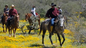 Elkhorn Ranch - Arizona dude ranch