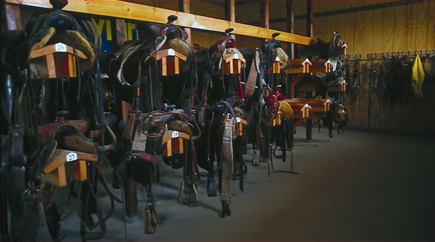 The Hideout Tack Room