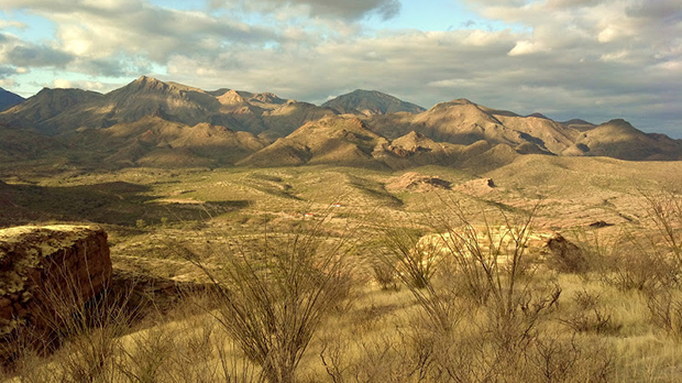 Sonoran Desert Views