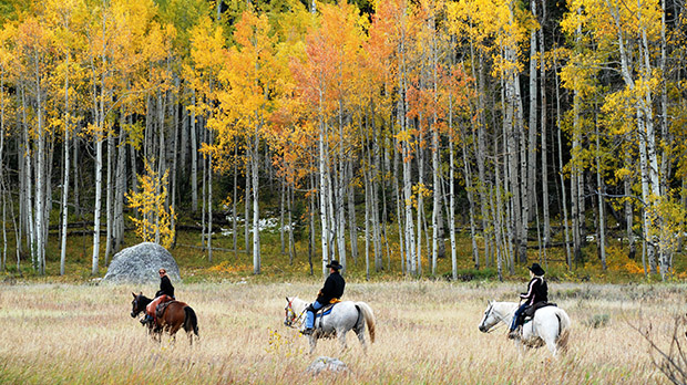 Fall Colors on Horseback